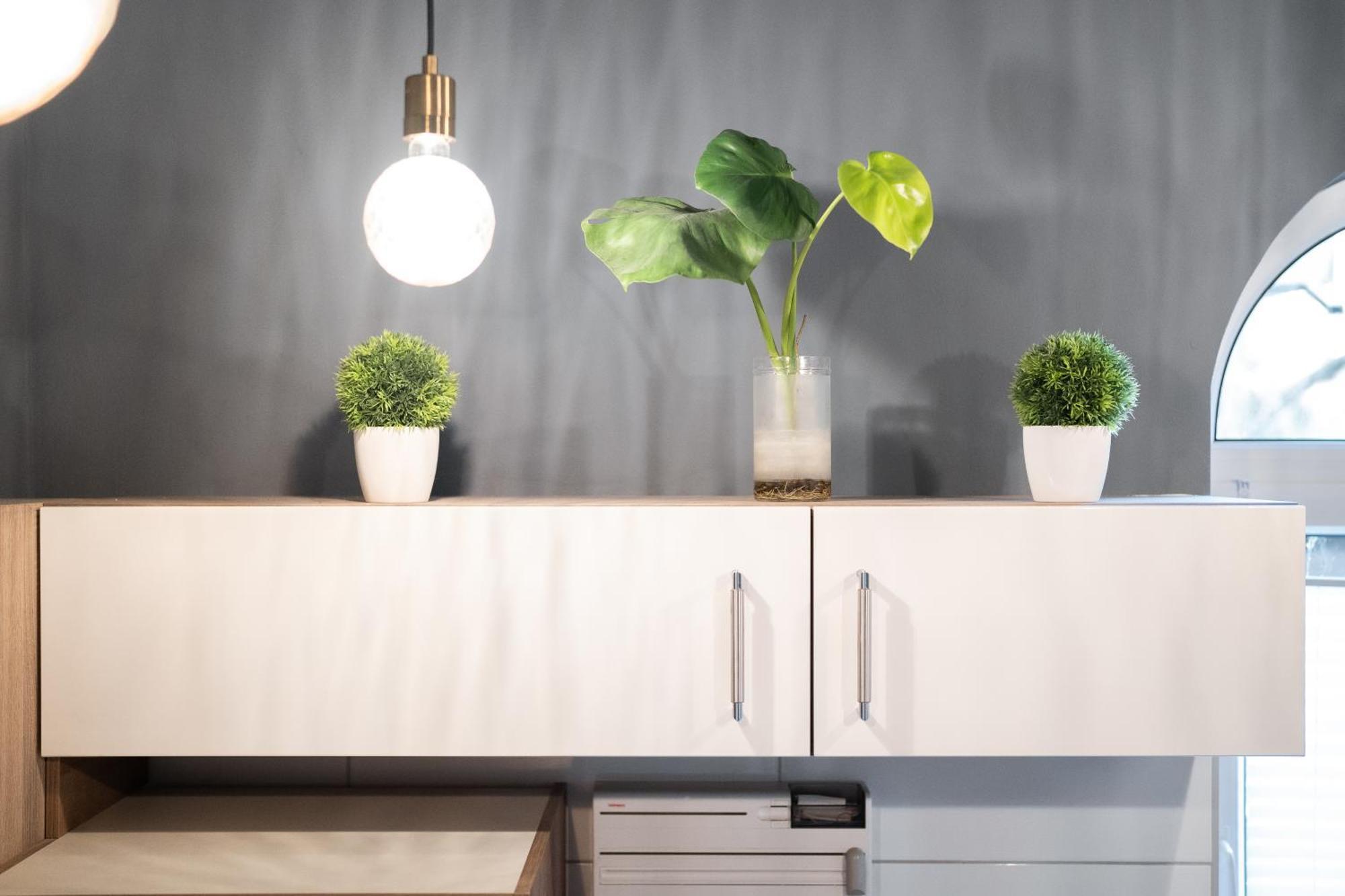 Apartment Birmingham Celle Zewnętrze zdjęcie